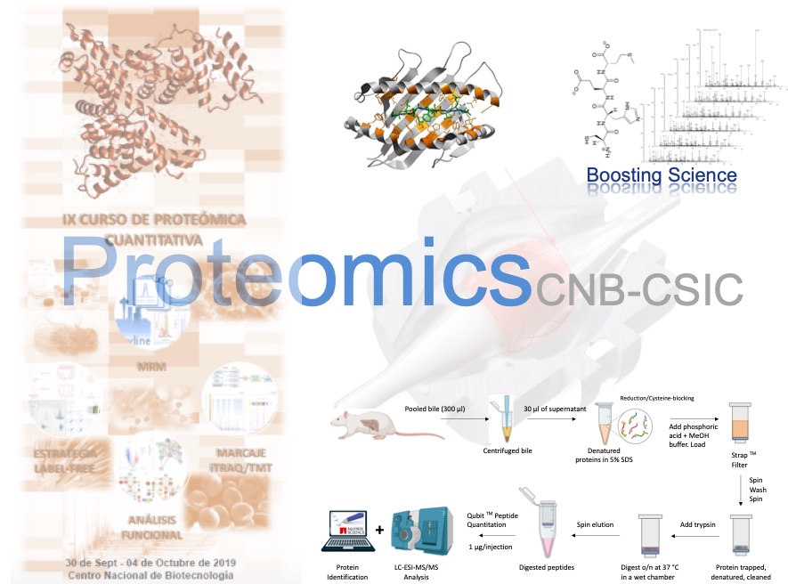 Proteomics figure1
