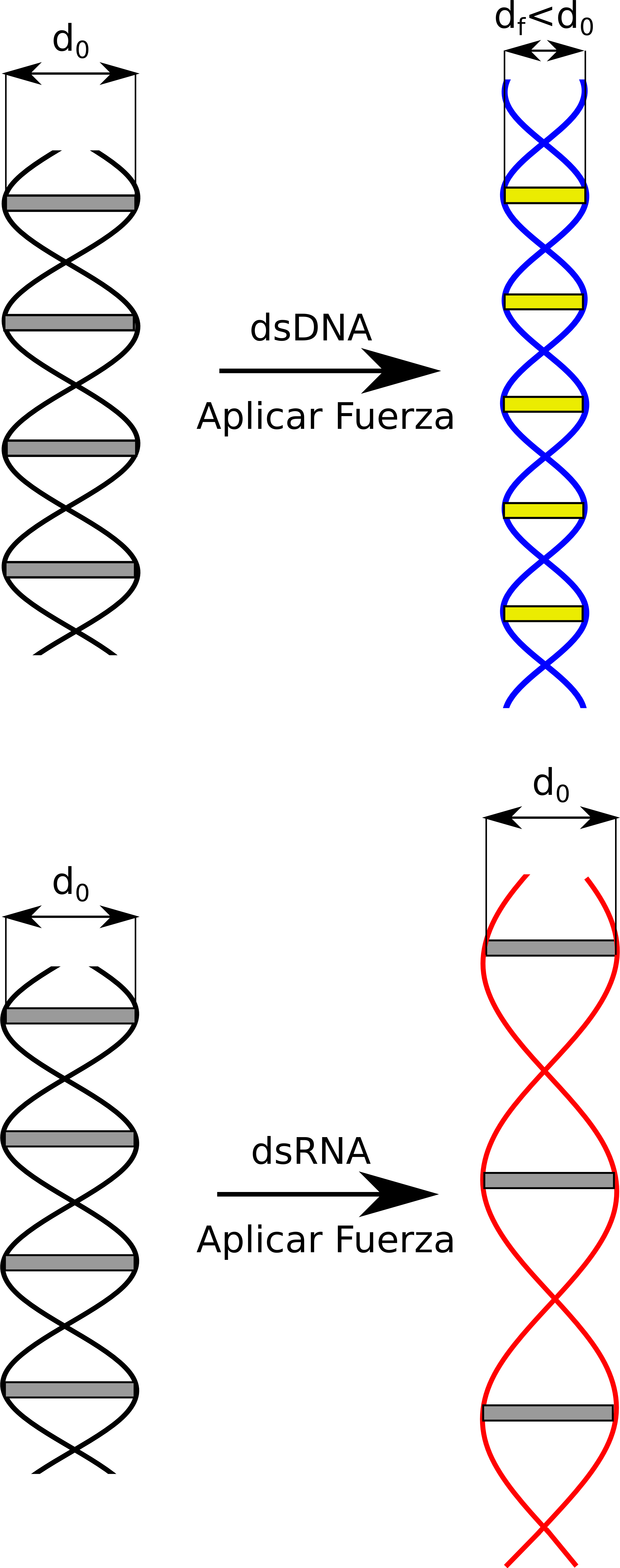 yy DNA RNA Fuerza