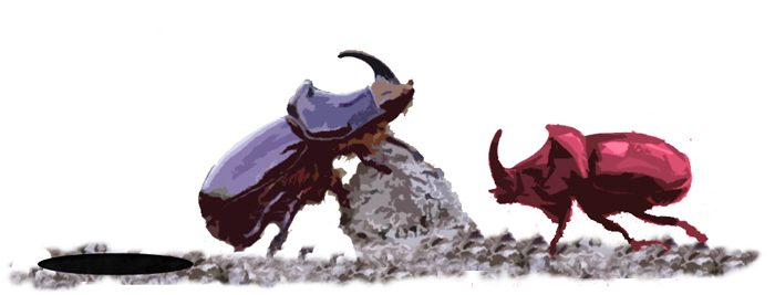 La Batalla de los Escarabajos