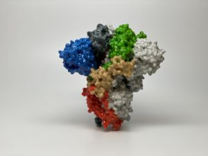 Recreación 3D de la proteína spike del virus SARS-CoV-2. 
