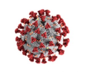 Nanoparticles with antiviral activity against coronavirus