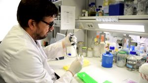 Biofábricas microbianas para producir compuestos naturales aplicables en medicina, cosmética y alimentación