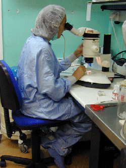 Julia Fernandez working at the CNB cryopreservation lab