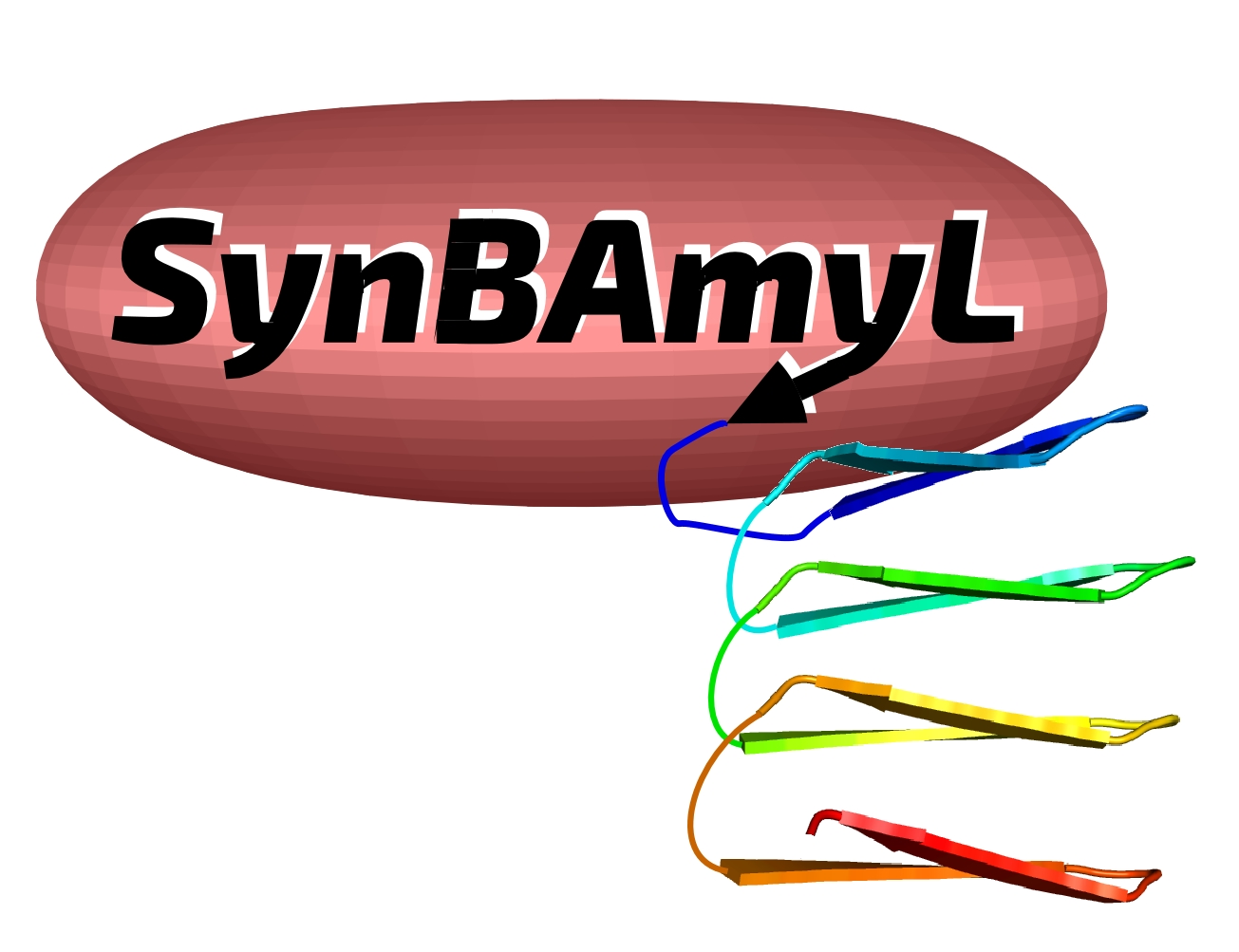 SynBAmyL logo
