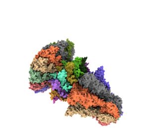The structure of the bacteriophage T7 portal protein reveals a key mechanism in viral infection