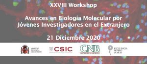 XXVIII Workshop  ADVANCES IN MOLECULAR BIOLOGY BY YOUNG RESEARCHERS ABROAD
