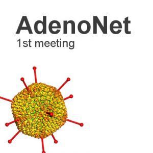 AdenoNet, first meeting