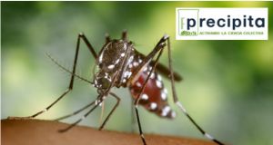 Crowdfunding project to study drugs against tropical viruses