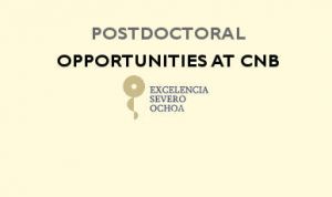 Postdoctoral opportunities at the CNB