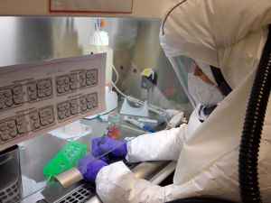 Una investigadora trabaja en el laboratorio de contención biológica del CBM-CSIC-UAM