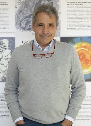 Jose María Valpuesta, nuevo presidente de la Sociedad de Biofísica de España