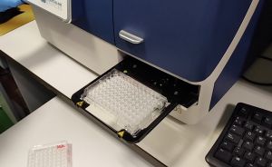 El CSIC logra un test de anticuerpos que detecta la inmunidad frente a Covid-19 con más del 98% de fiabilidad