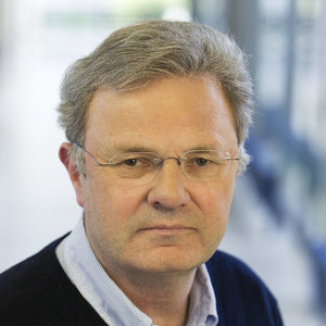 WOLFGANG BAUMEISTER 