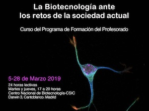Imagen_Curso_profesores_2019