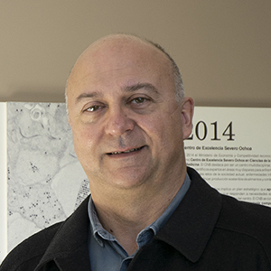 Fernando Corrales