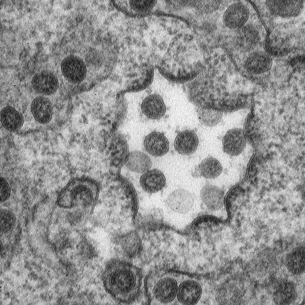 Created by Digital Micrograph, Gatan Inc.