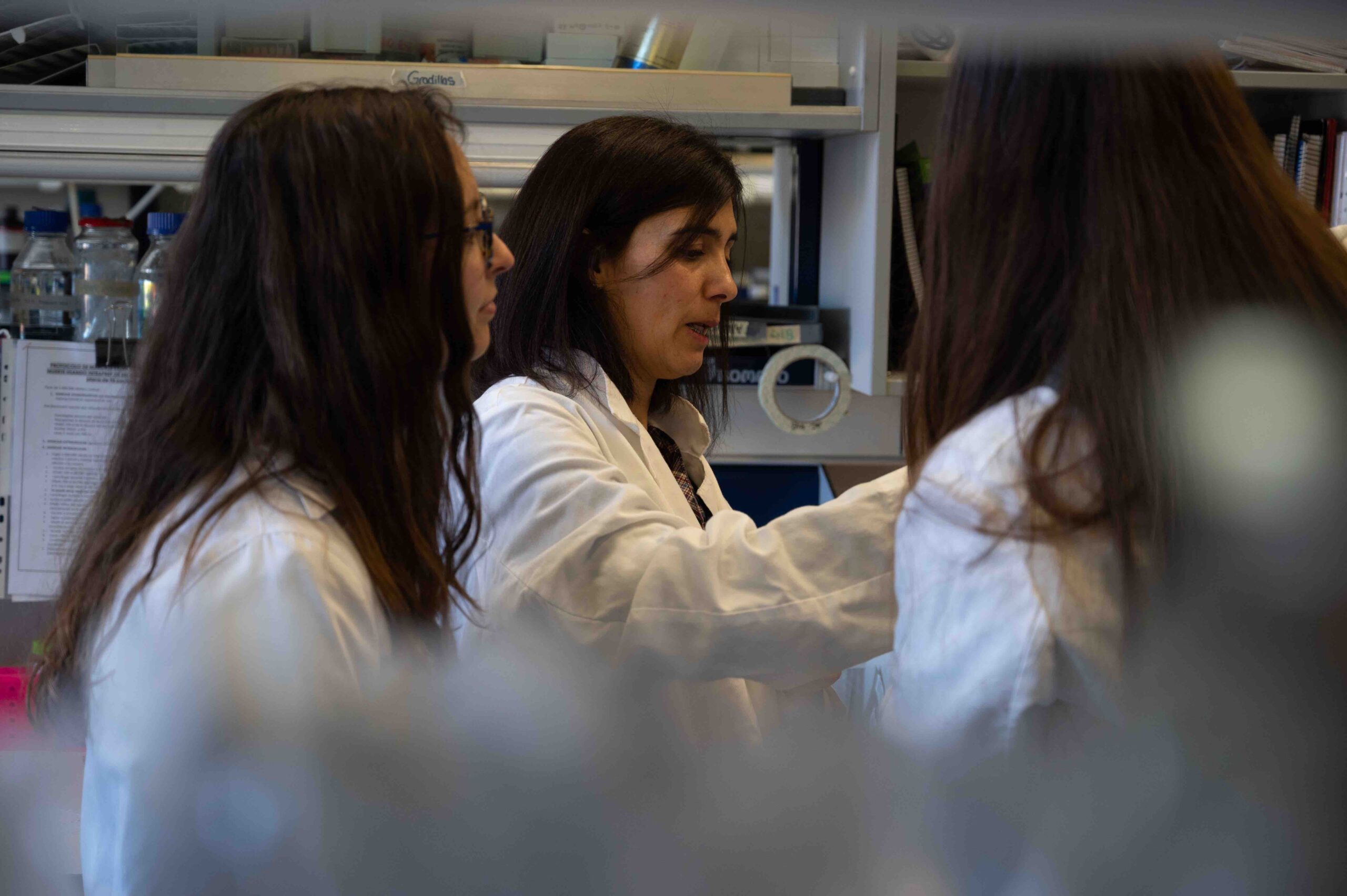 2024_Postdoc