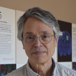 Ricardo Villares