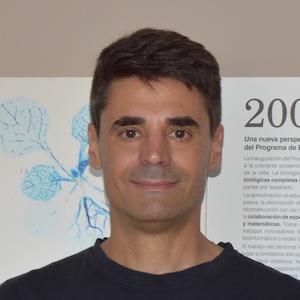 Saúl Ares