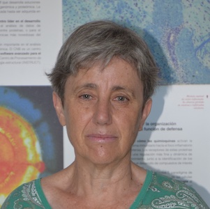 Silvia Ayora