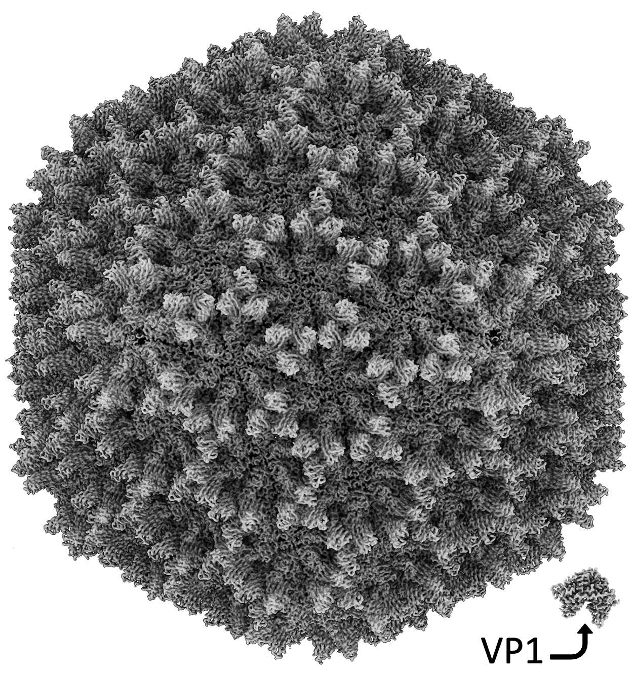 2024_caston_fig1