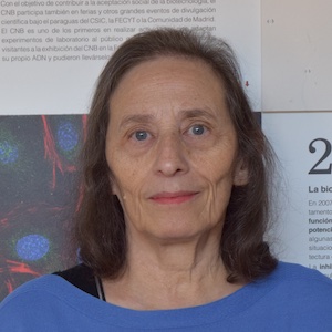 Leonor Kremer