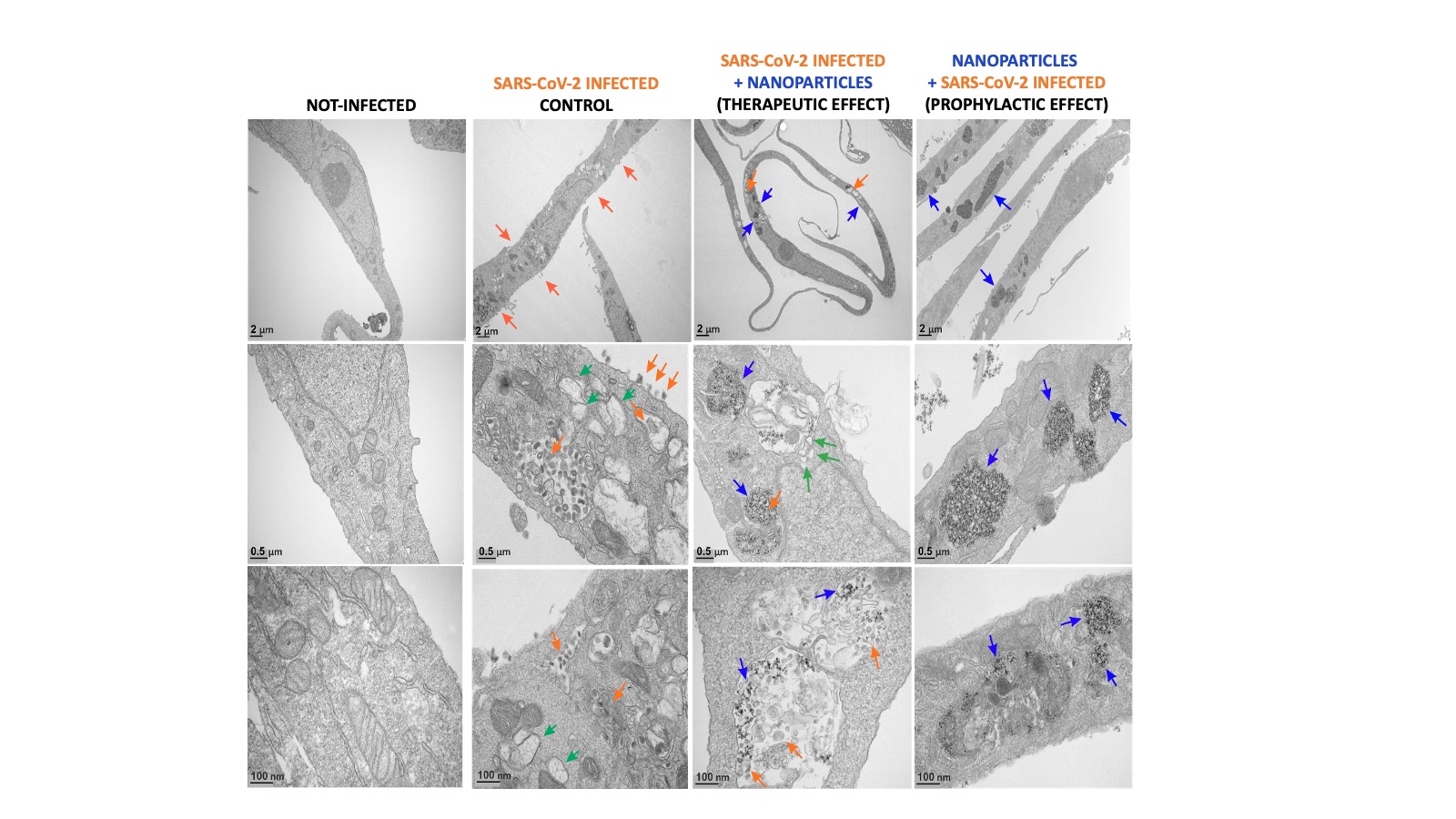 DeDiego_research image 2