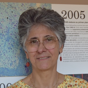 Belén Pintado