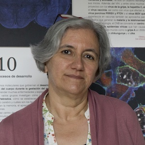 Carmen San Martín