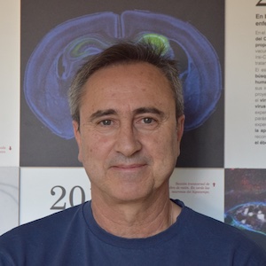 Fernando Almazán Toral