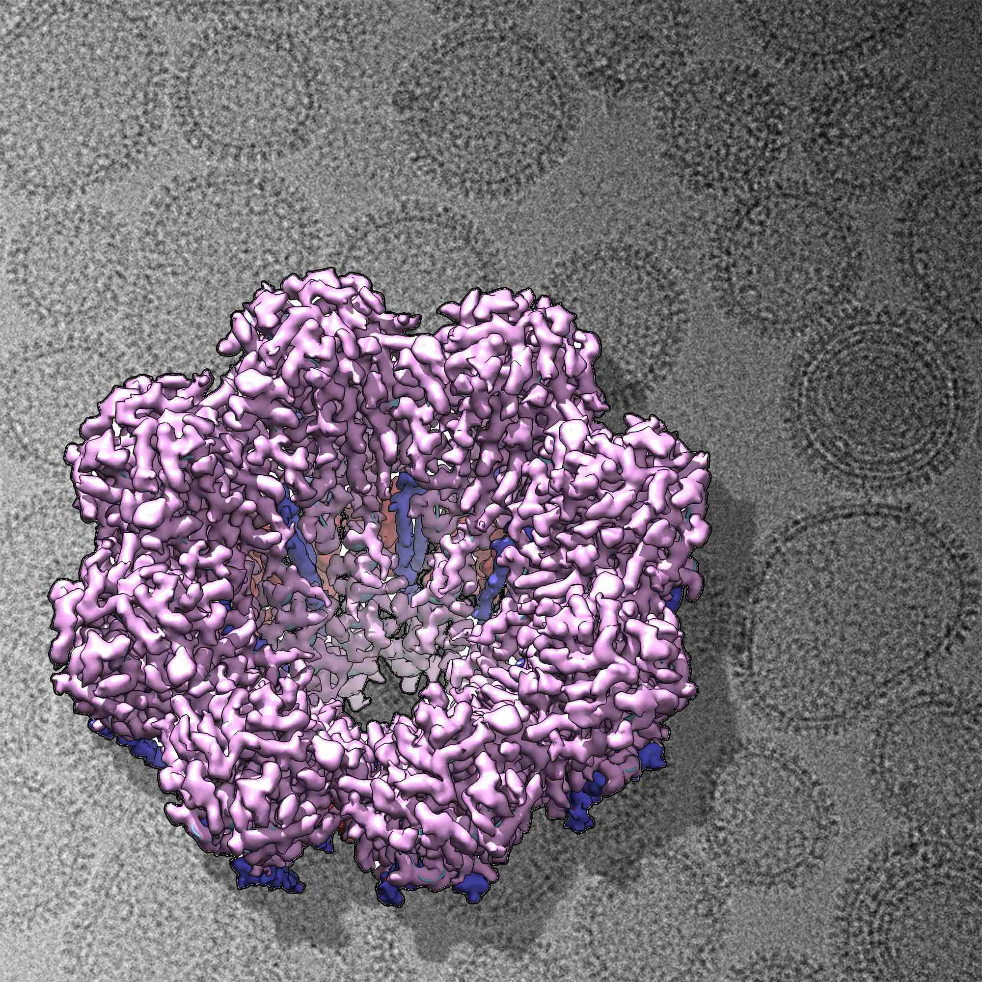 2024_MartinBenito-fig2