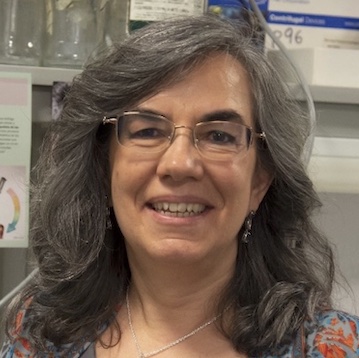 Inés M Antón
