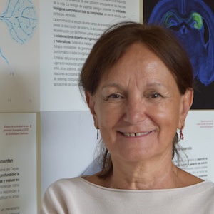 Carmen Castresana