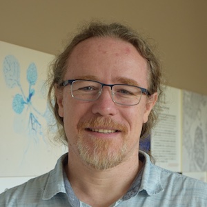 David de Juan