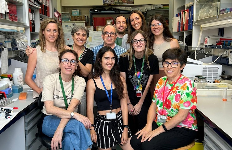 2024_mañes-group