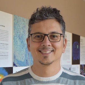 Adrian A. Valli