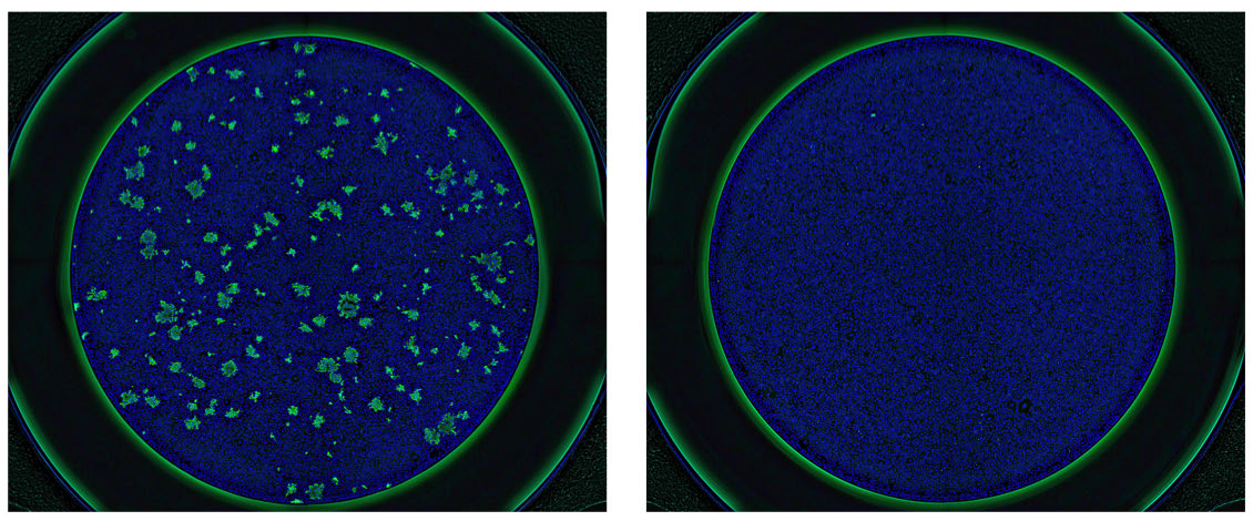 Antivirals_Figure2