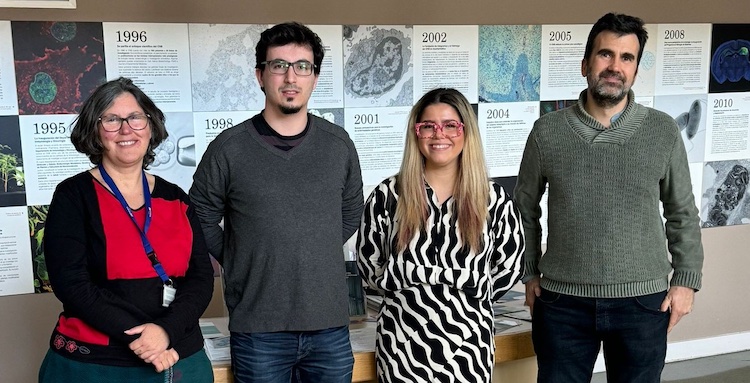 2024_pulido_group