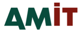 AMIT