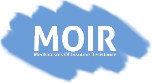 CM-ricote_logo proyecto