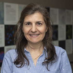 Mar Valés