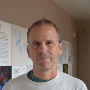 Enrique Rojo