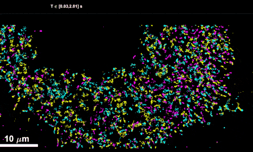 nn4c09085_si_006-ezgif.com-optimize